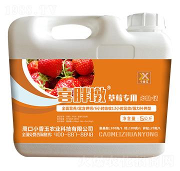 ��ݮ���ö��ġ��}-ϲ�ֶ�-С����