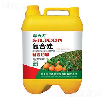 �ͺϹ�-Ħ���_-������r