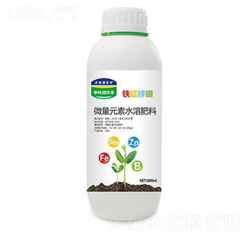 �F�i�\��-�пƝ����S