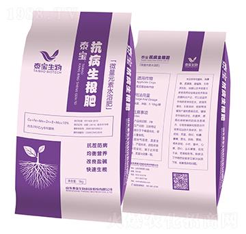 ����������-̩������