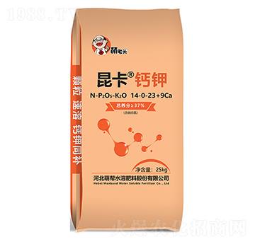 �����}�14-0-23+9Ca-�Ȏ�