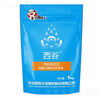 ����-�Ȏ�