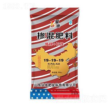 �������19-19-19-��������