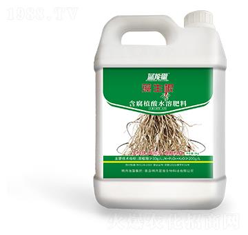 ����ֲ��ˮ�ܷ���-������-�{����