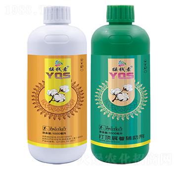 �޻���프�-�u�X(qi��n)������