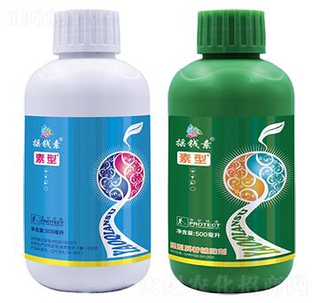 �޻����̈́�-�u�X(qi��n)������