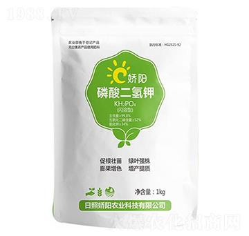 ��������-���S����