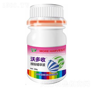 �ڷ۾��AҺ-�ֶ���-�W�׵�˹