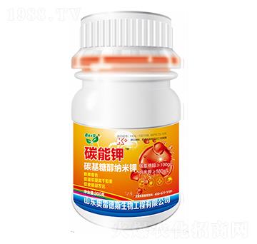 ̼���-�W�׵�˹