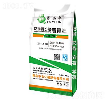 ���B©�LЧ��ጷ�24-12-10-������-���r(n��ng)�|��