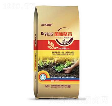 ��ø�����ЙC��-ǰ�طʘI(y��)