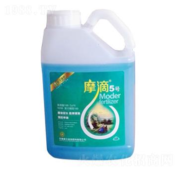 Ħ��5̖(h��o)-ħ��Һ��