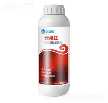 ��ɫ���������-�ƹ��t-����