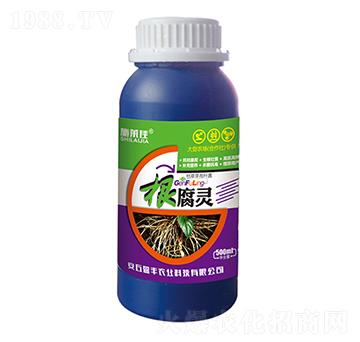�����`-ʩ�R��-ӯ�S�r�I(y��)