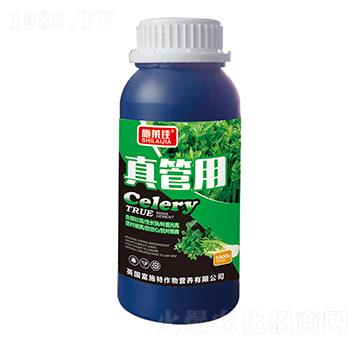 �����-ʩ�R��-ӯ�S�r�I(y��)