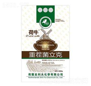 �ز������-��ţ-ʷ����