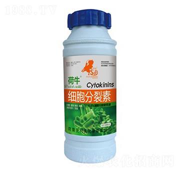 ����������-��ţ-ʷ����