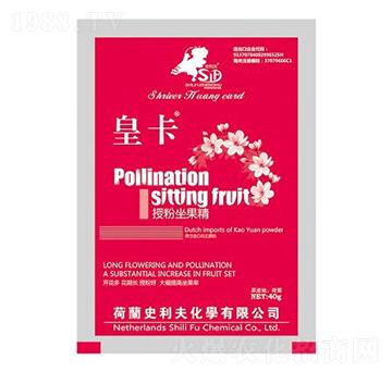 �ڷ�������-�ʿ�-ʷ����