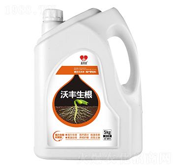 ���S����-�����S