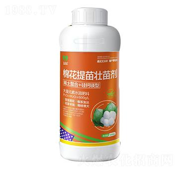 �޻�������焩-�����S