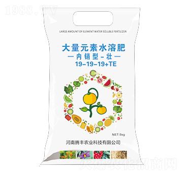 ���N�ʹ���Ԫ��ˮ�ܷ���19-19-19+TE-��-�v�S�r�I(y��)