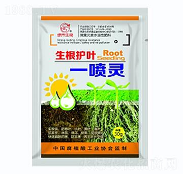 �����o(h��)�~һ���`-���ϷʘI(y��)