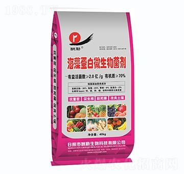 ���嵰��΢�������-����