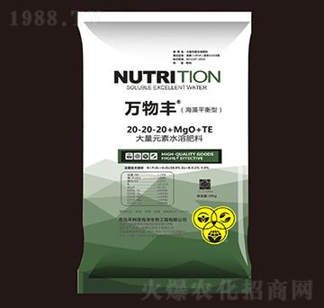 ����ƽ���ʹ���Ԫ��ˮ�ܷ���20-20-20+MgO+TE-�f���S-���o(h��)����