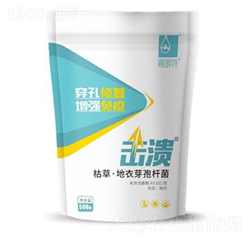 �����ݲݵ���ѿ�ߗU��-������