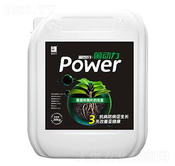 ����(d��ng)��-������