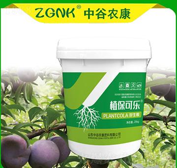 ������-ֲ���ɘ�-�й��r(n��ng)��