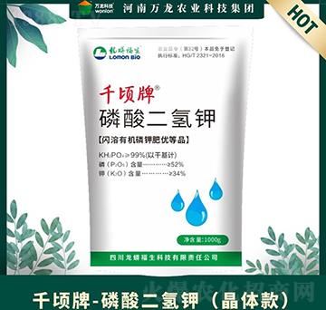 �������⛣����w�-ǧ���-�f���Ƽ�