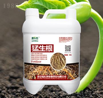 ������-����(l��)��