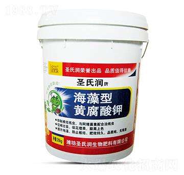 �������S�����-ʥ�ϝ�(r��n)