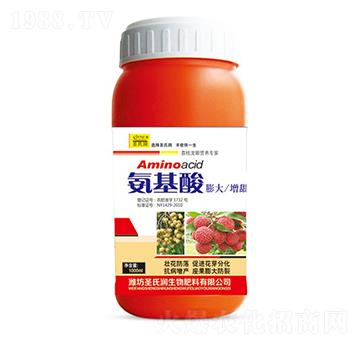 ������-ʥ�ϝ�(r��n)