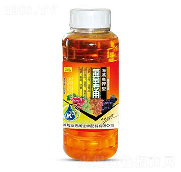 ���ь�(zhu��n)�ú�������-ʥ�ϝ�(r��n)