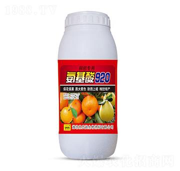 �̽ی�(zhu��n)�ð�����920-ʥ�ϝ�(r��n)