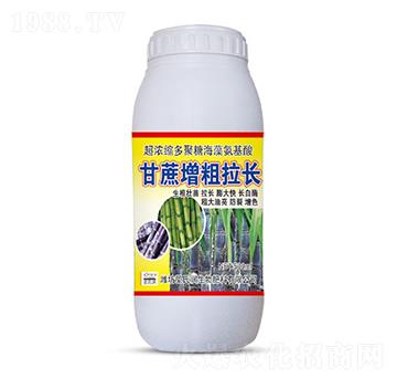 500ml�����������L(zh��ng)-ʥ�ϝ�(r��n)