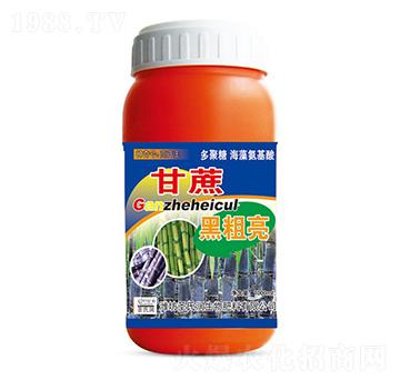 ����ڴ���-ʥ�ϝ�(r��n)