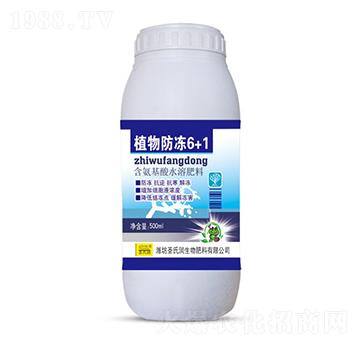 ֲ�����6+1-ʥ�ϝ�(r��n)