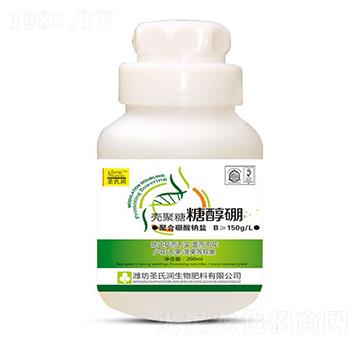 �Ǵ���-ʥ�ϝ�(r��n)