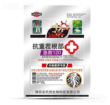 ���ز��������120-ʥ�ϝ�(r��n)