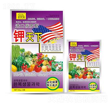 �����-ʥ�ϝ�(r��n)