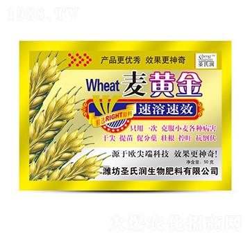 ���S��-ʥ�ϝ�(r��n)