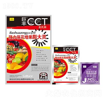 ��(qi��ng)��������������`-ʥ�ϝ�(r��n)