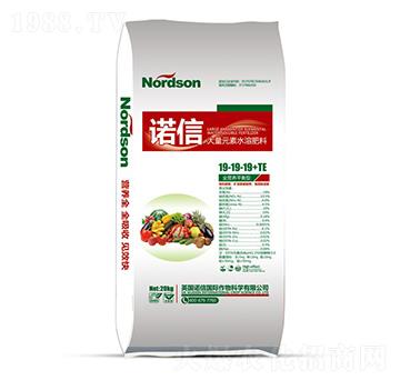 �Z�Ŵ���Ԫ��ˮ�ܷ�19-19-19+TE-ʥ�ϝ�(r��n)