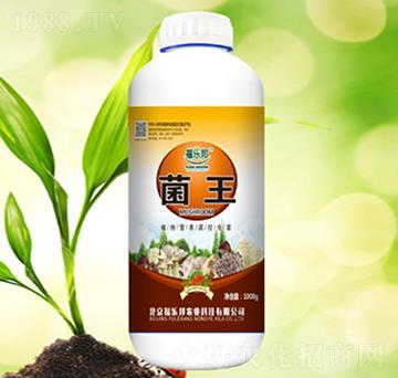 ����-������