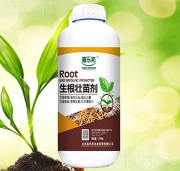 �������焩-����(l��)��