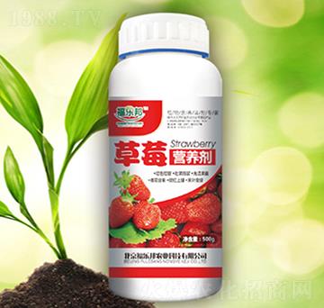 ��ݮ�I(y��ng)�B(y��ng)��-������