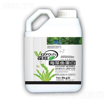 �����~(y��)����-����-����ʘI(y��)